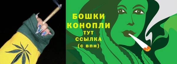 амф Володарск