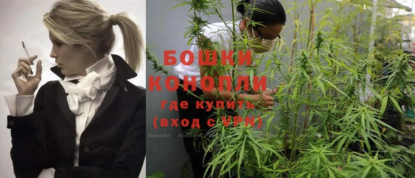 амф Володарск